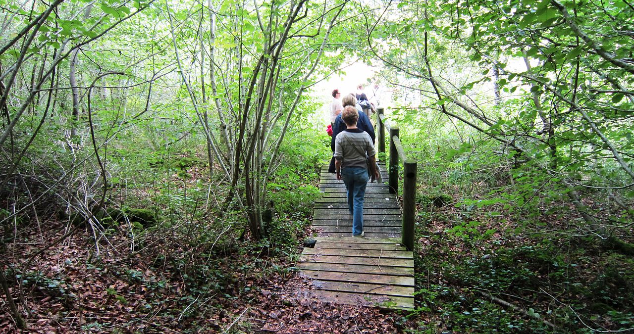 Bornes de la forêt de Mirebeau-sur-Bèze